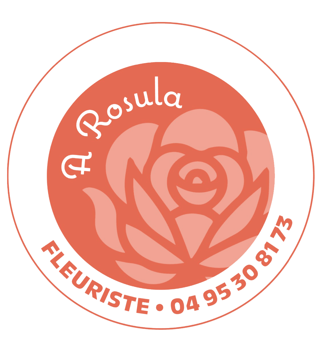 A Rosula